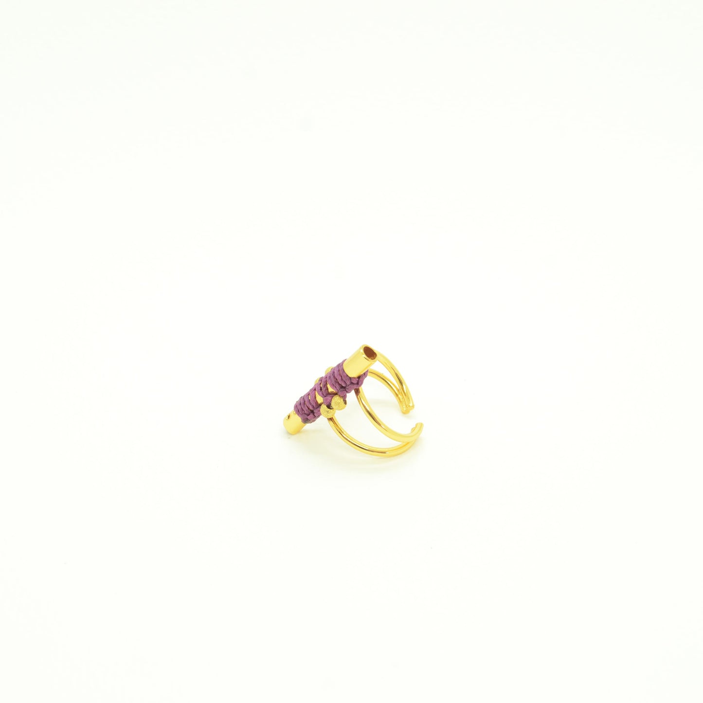 Anillo Flauta